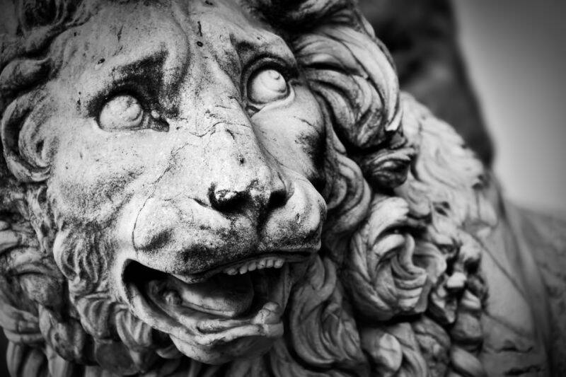 Black-and-white close-up of a sculpted stone lion, symbolizing the principles of Wealth Management vs Private Banking.