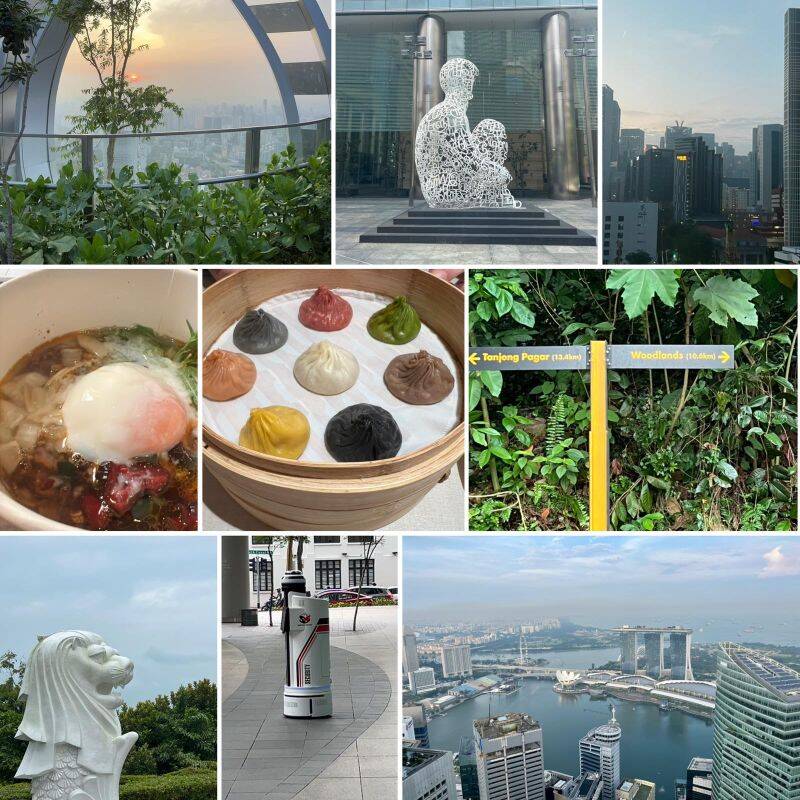 Sommercollage mit Essen, einem Garten und Blick auf den See
