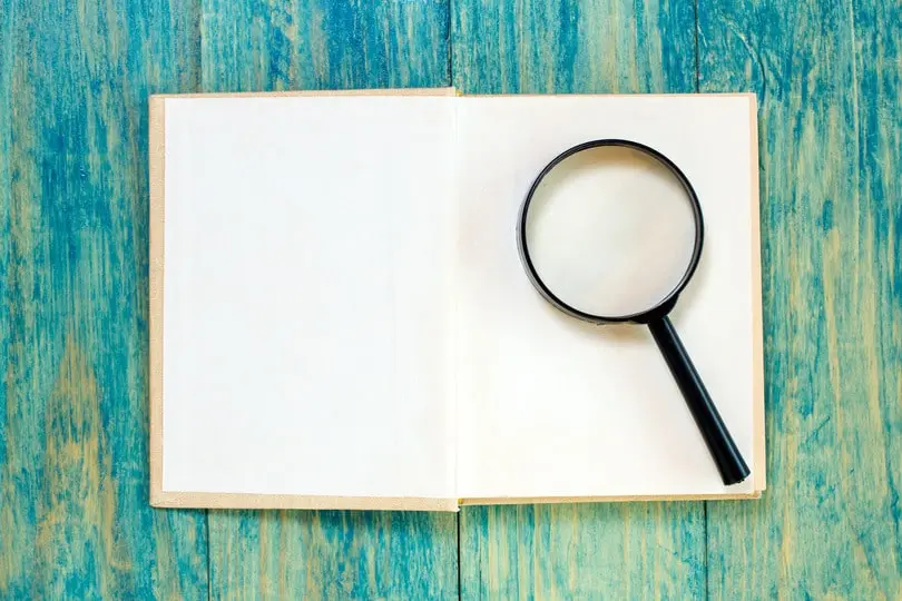 A magnifying glass on an open book, symbolising the search for the best custodian bank for independent wealth managers.