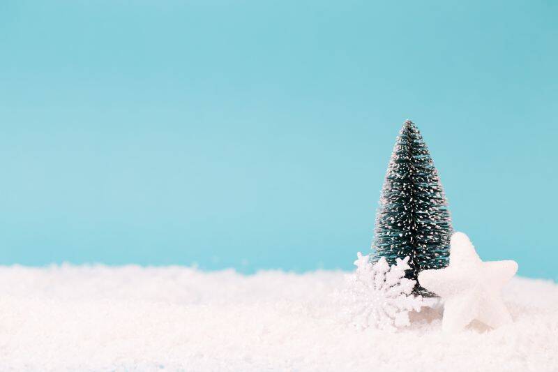 Merry christmas to all with a small Christmas tree and white star on snow against a calm blue background
